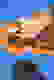 item-96750261=4