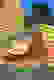 item-96750261=7