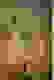 item-96750277=5