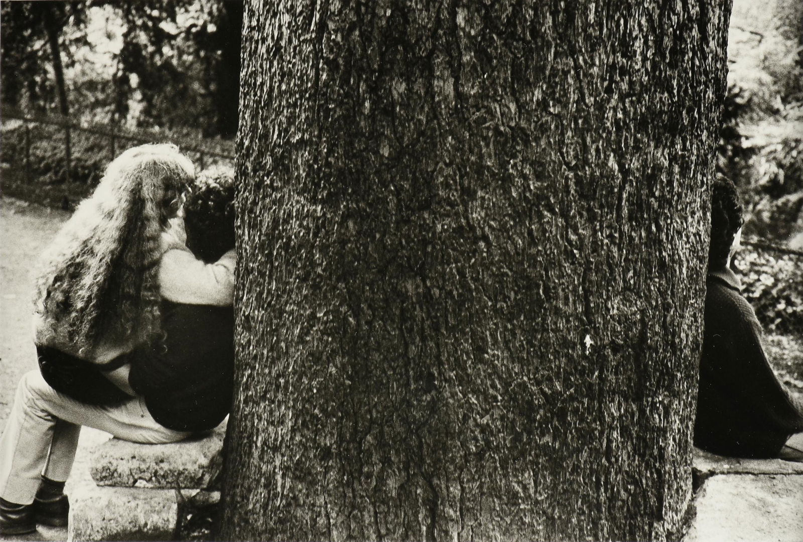 ÉDOUARD BOUBAT (French 1923-1999) A PHOTOGRAPH, "Tree (1 of 10)
