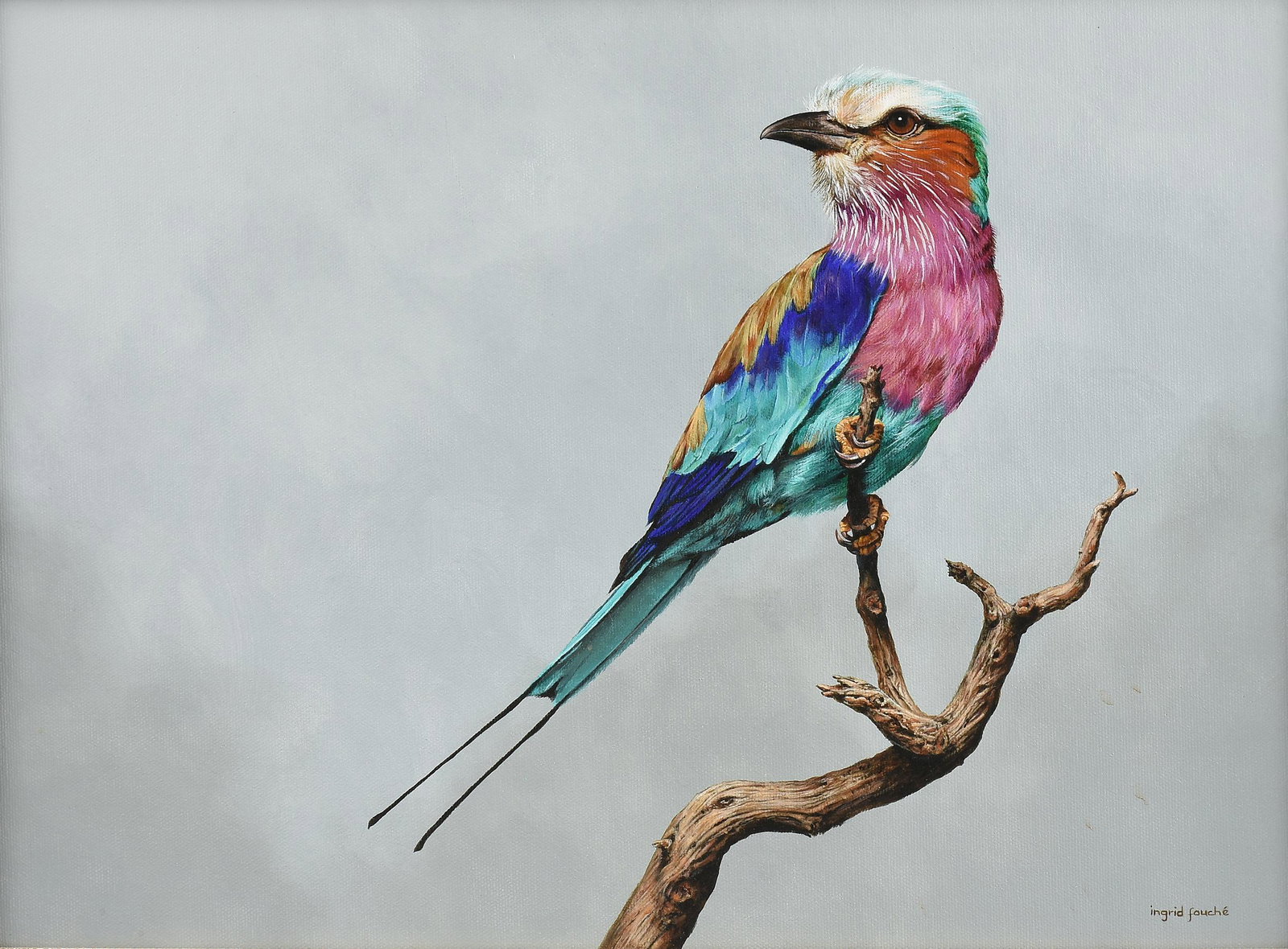 INGRID FOUCHÉ (South African 20th/21st Century) A: INGRID FOUCHÉ (South African 20th/21st Century) A PAINTING, "African Lilac Breasted Roller," oil on board, signed L/L, "Ingrid Fouché." 13 3/4" x 19"
