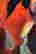 item-111791920=5