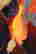 item-111791920=6