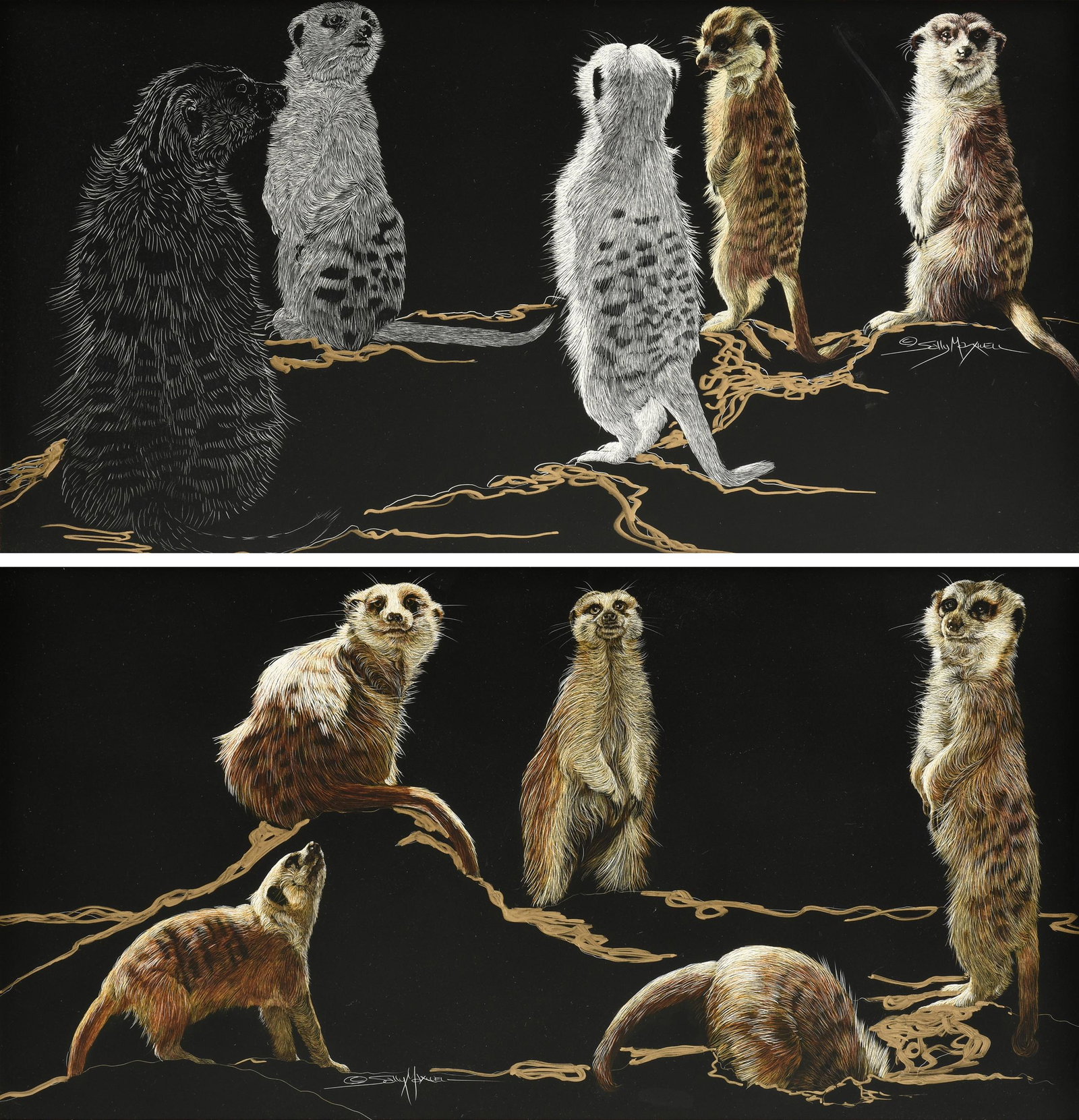 SALLY MAXWELL (American/Texas b. 1946) TWO SCRATCHBOARD (1 of 20)