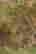 item-111791995=7