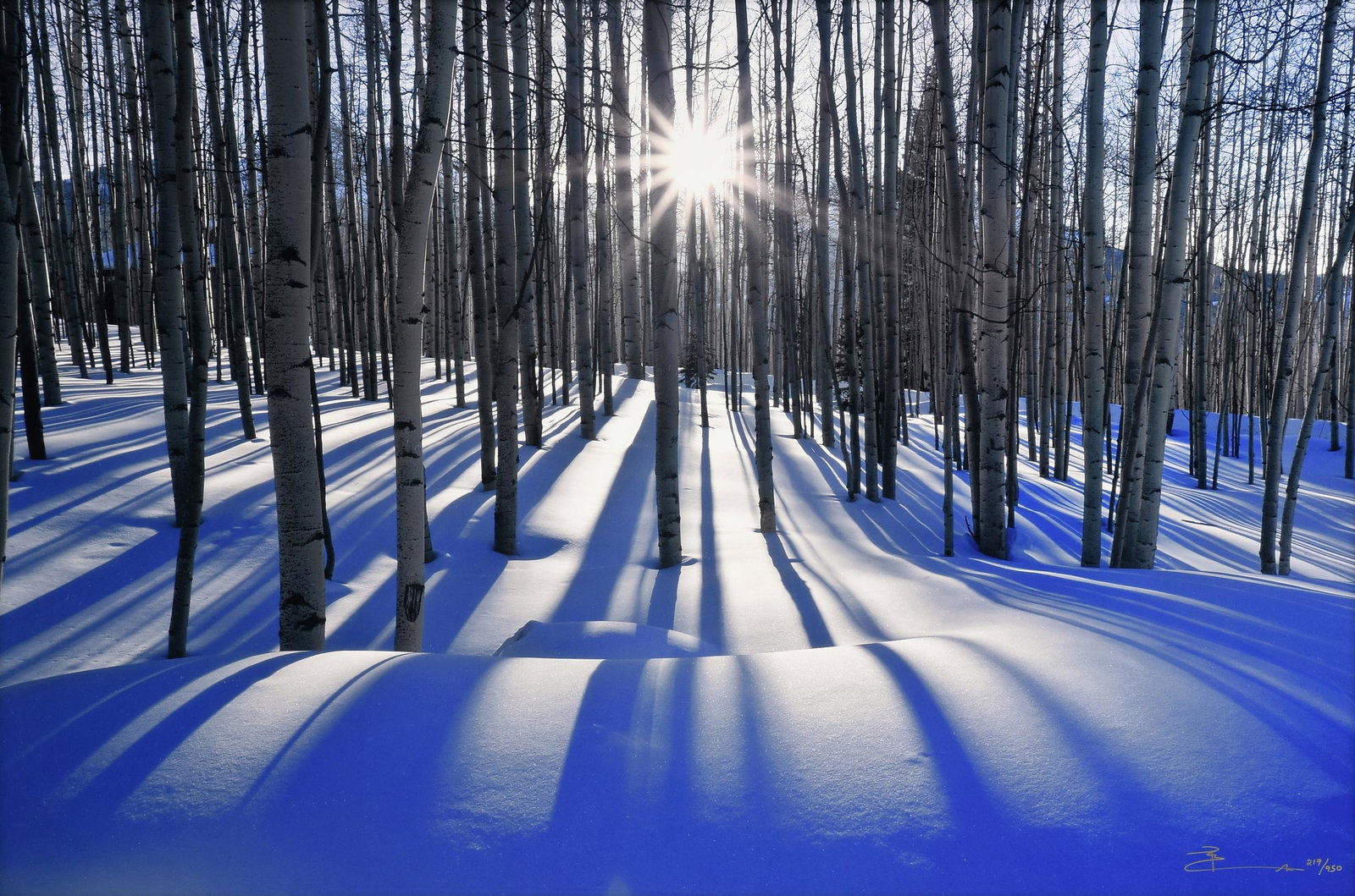 PETER LIK (Australian b. 1959) A PHOTOGRAPH, "Sunlit (1 of 13)