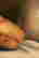 item-111792102=7