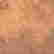 item-111792110=3