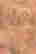 item-111792110=6