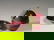 19: An Evan's gilt-metal mounted enameled box formed as