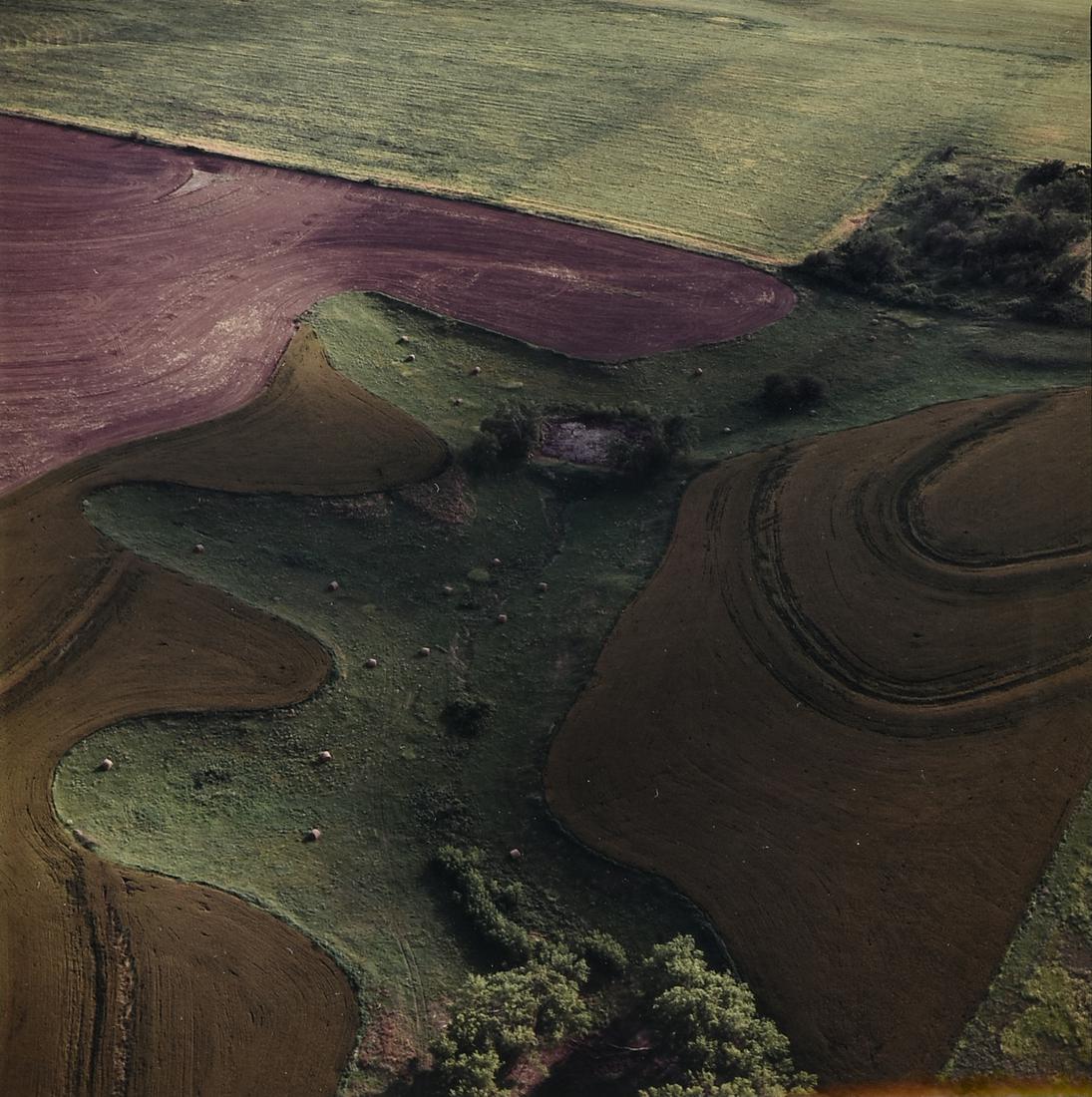 TERRY EVANS (American b. 1944) A PHOTOGRAPH, "Between (1 of 11)