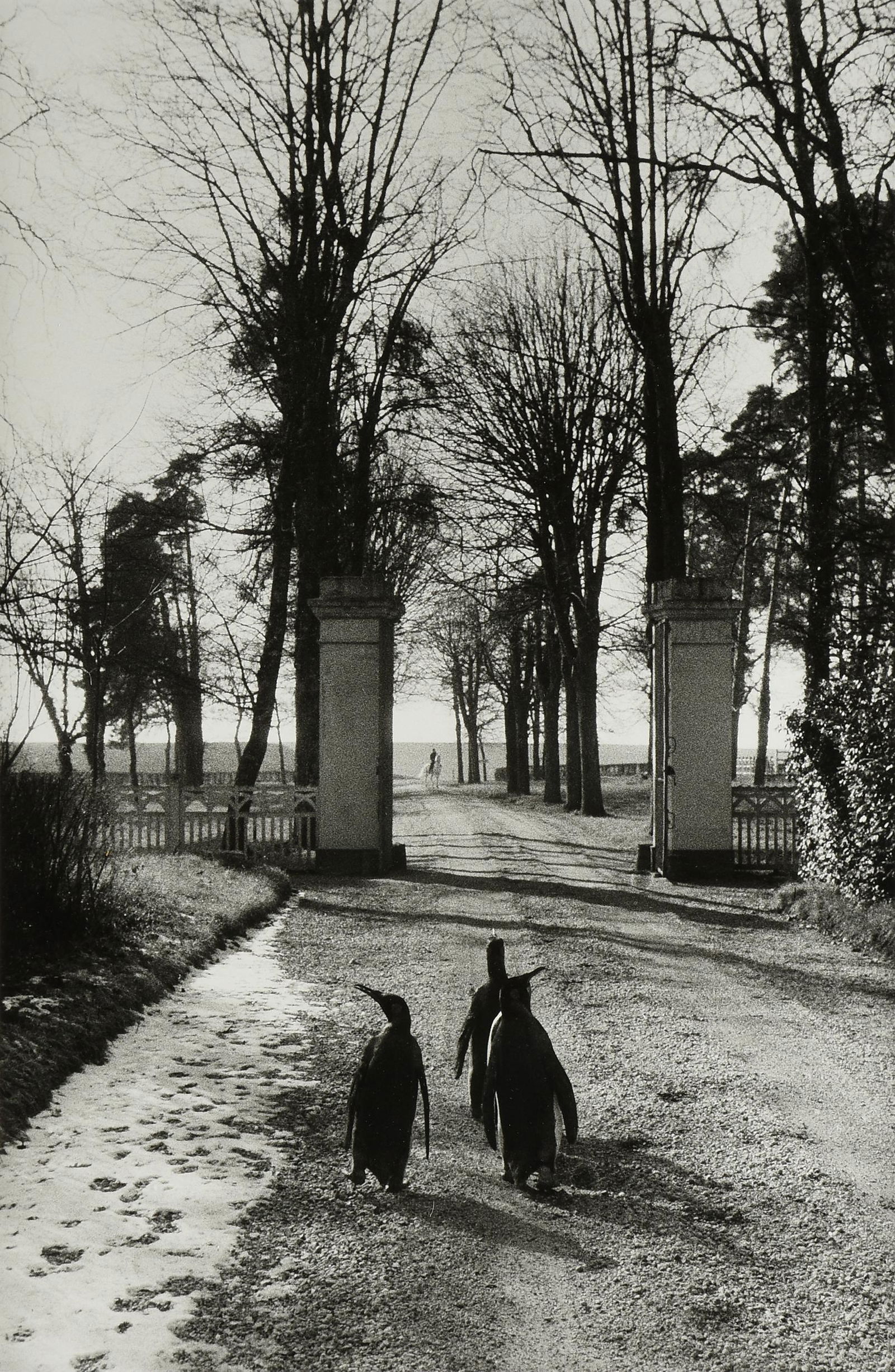 WILLY RONIS (French 1910-2009) A PHOTOGRAPH, "Le Repos (1 of 17)