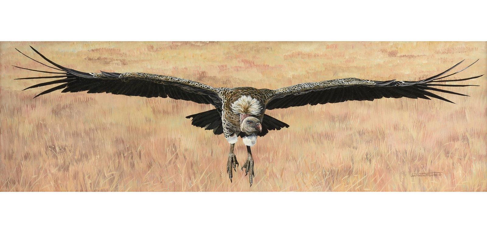 JAN MARTIN MCGUIRE (American b. 1955) A PAINTING,: JAN MARTIN MCGUIRE (American b. 1955) A PAINTING, "Final Approach," acrylic on board, signed L/R, "Jan Martin McGuire." 9" x 29 1/2" Note: A panoramic view of an outspread vulture descending.