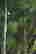 item-128019617=4