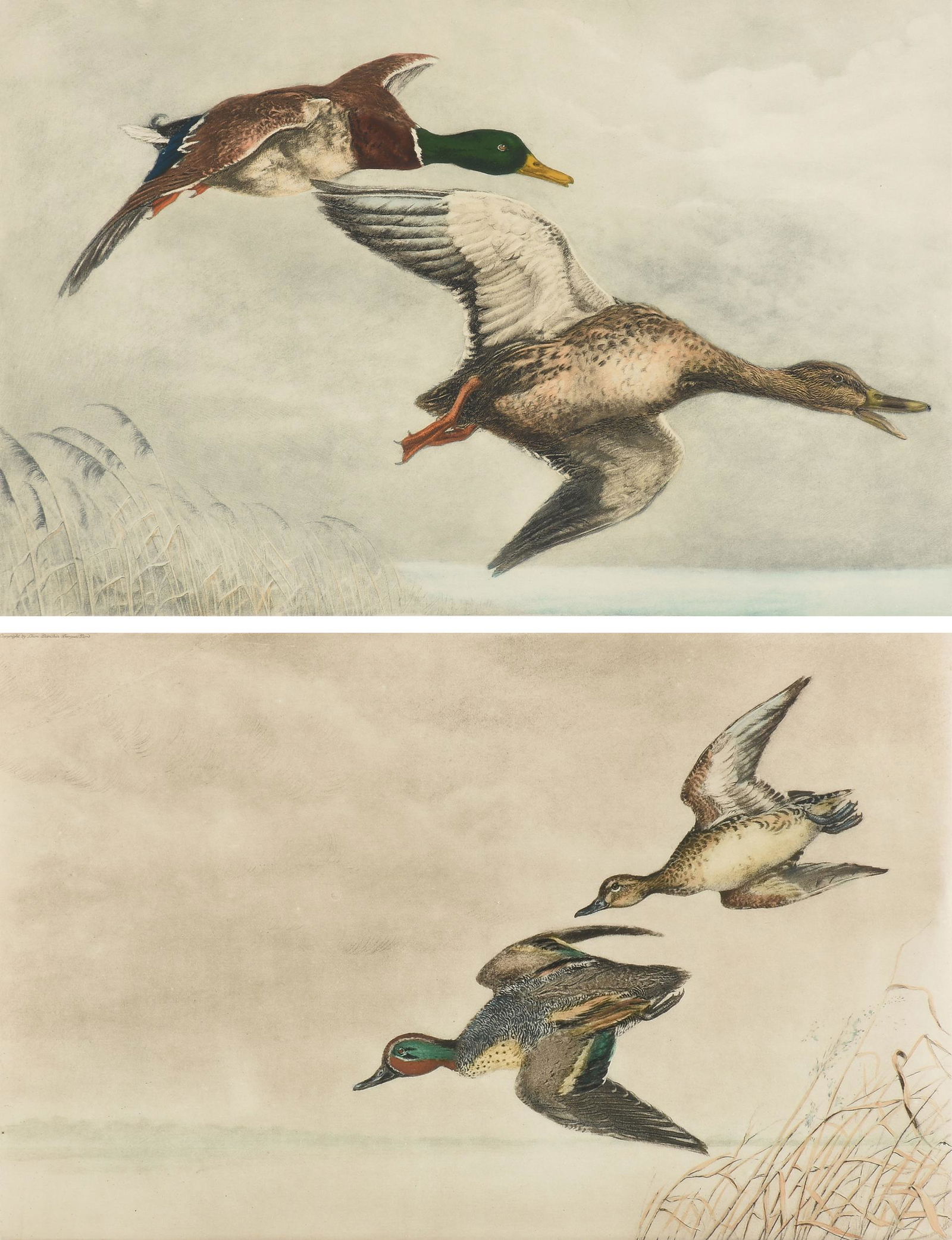LEON DANCHIN (French 1887-1938) TWO HAND-COLORED ENGRAVINGS, SIGNED, BERGUES,: LEON DANCHIN (French 1887-1938) TWO HAND-COLORED ENGRAVINGS, SIGNED, BERGUES, comprising, "Green Winged Teals Descending," watercolor and ink on paper, signed in pencil in margin L/R, "Leon Danchin,"