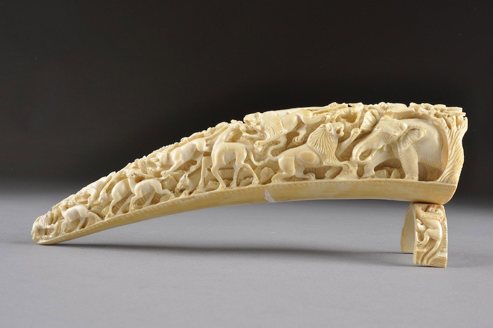 A CHINESE IVORY TUSK, LATE 19TH/EARLY 20TH CENTURY,: A CHINESE IVORY TUSK, LATE 19TH/EARLY 20TH CENTURY, carved in high relief with jungle animals. Length: 10 1/2"