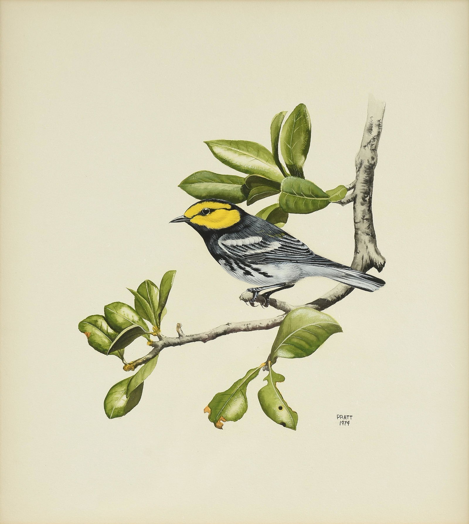 HAROLD DOUGLASS PRATT JR (American b. 1944) A PAINTING, "Golden-Cheeked Warbler," 1974, (1 of 8)
