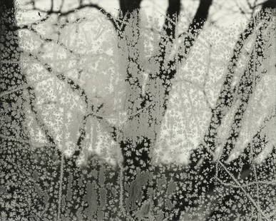 PAUL CAPONIGRO (American b. 1932) A PHOTOGRAPH, "Frosted Window, Ipswich, Massachusetts," 1960,: PAUL CAPONIGRO (American b. 1932) A PHOTOGRAPH, "Frosted Window, Ipswich, Massachusetts," 1960, gelatin silver print, signed in pencil on the mat L/R, "Paul Caponigro," printed circa 1970s; 15" x 18