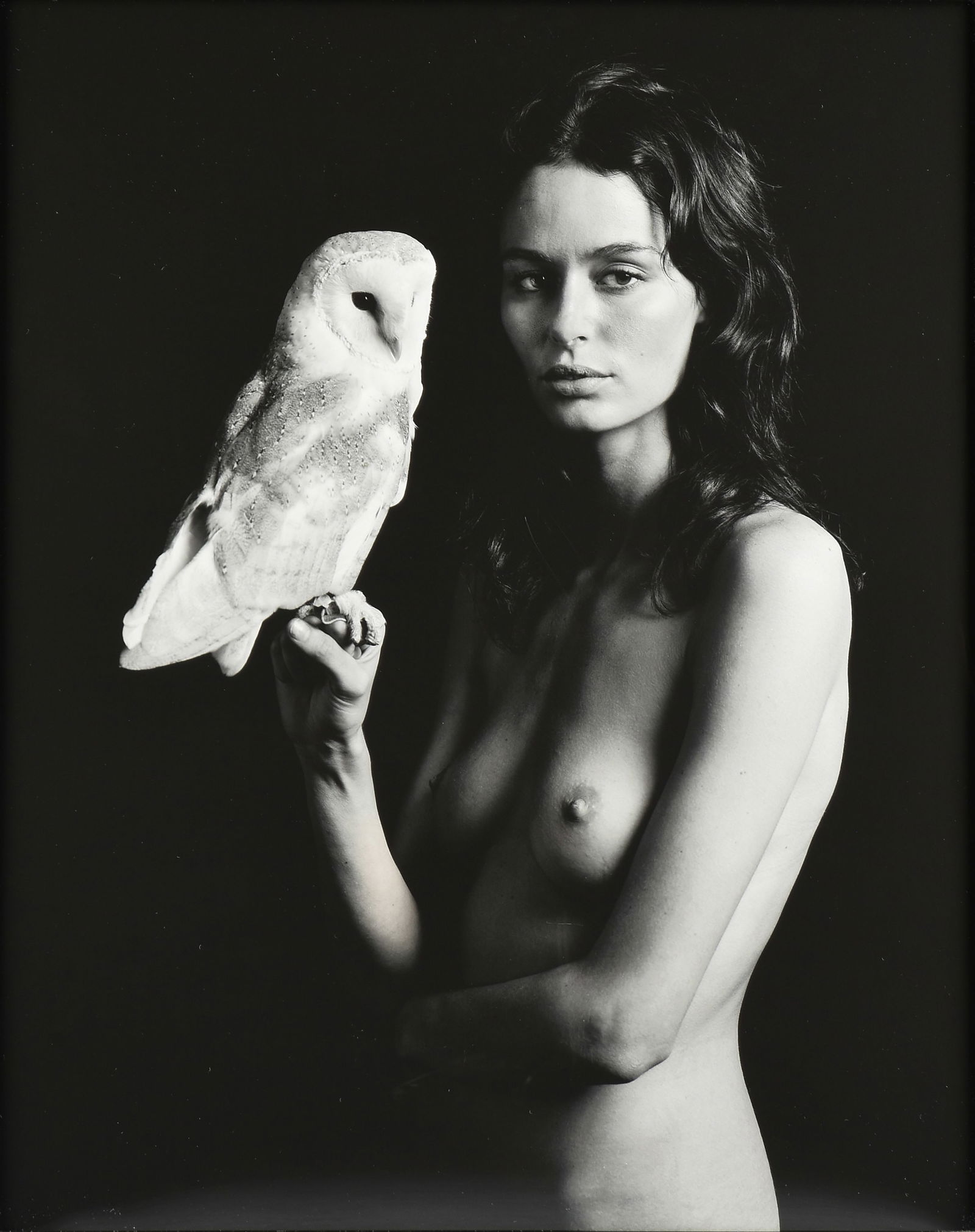 MAXWELL SNOW (American b. 1984) A PHOTOGRAPH, "Untitled (Owl II)," 2011,: MAXWELL SNOW (American b. 1984) A PHOTOGRAPH, "Untitled (Owl II)," 2011, black and white photograph on paper, signed and numbered on reverse, "Max Snow / 24/50;" 29 3/4" x 23 3/4", framed 31" x 25". P