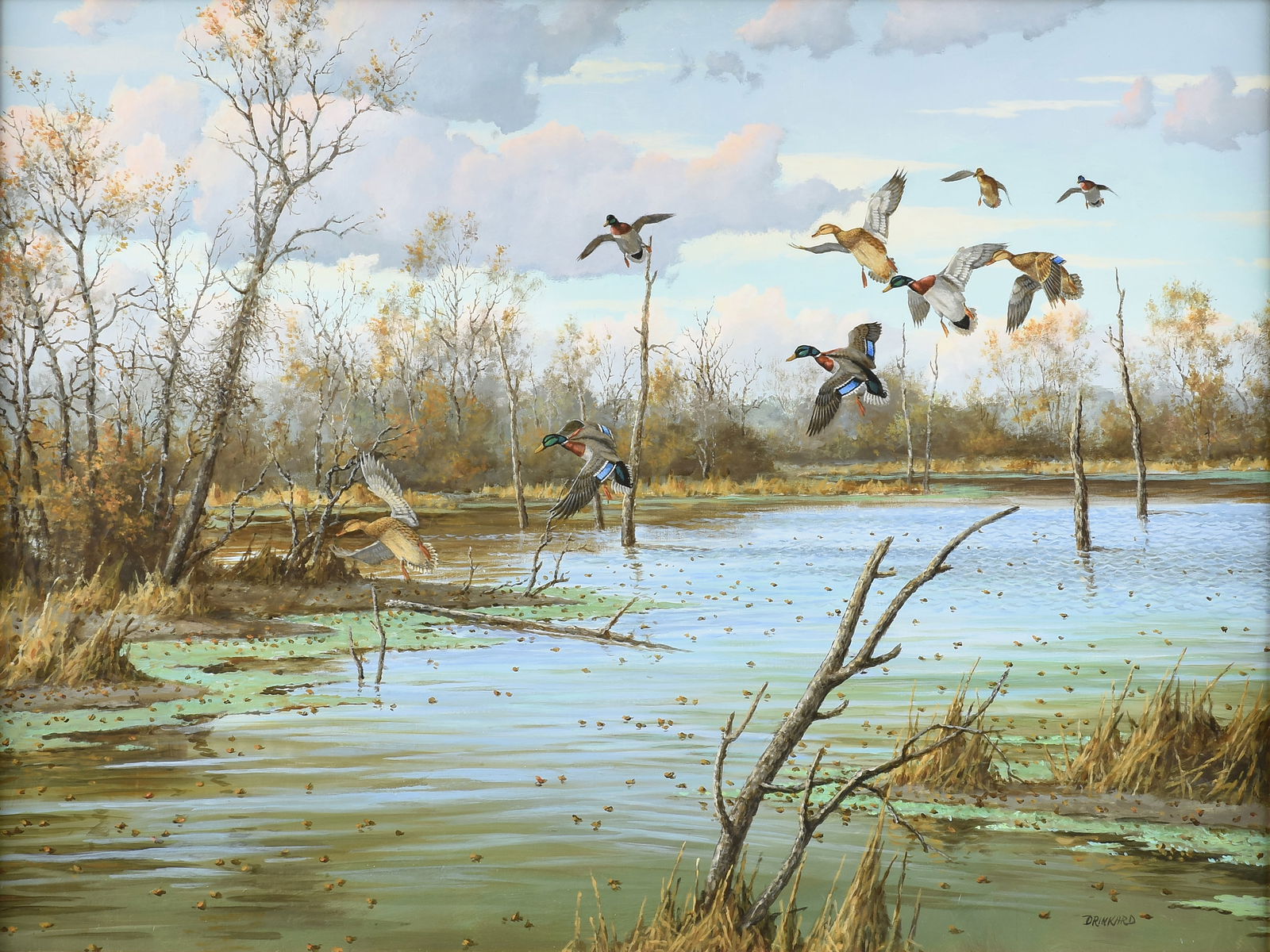 DAVID DRINKARD (American/Texas 1948-2016) A PAINTING, "Ducks Landing in Wetlands," 20TH/21ST (1 of 15)