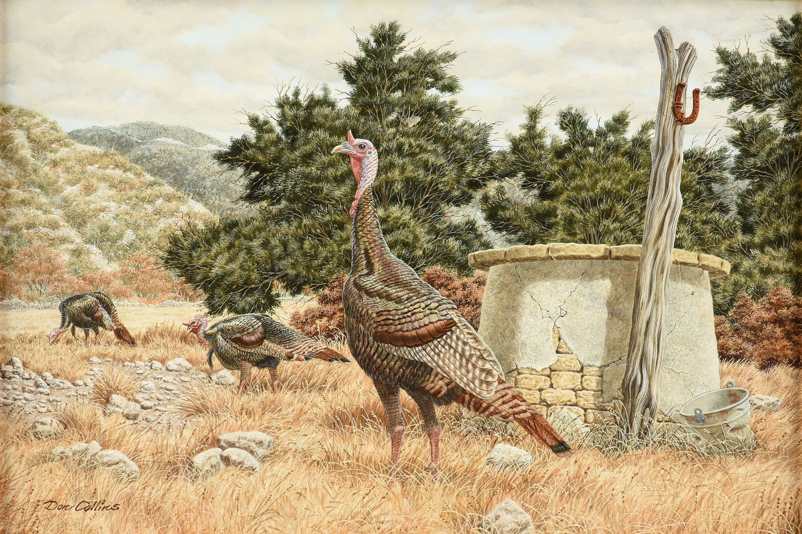 DON COLLINS (American/Texas b. 1909) A PAINTING, "Wild Turkeys and Water Well," MID/LATE 20TH: DON COLLINS (American/Texas b. 1909) A PAINTING, "Wild Turkeys and Water Well," MID/LATE 20TH CENTURY, oil on Strathmore board, signed L/L "Don Collins;" 20" x 30", framed 30" x 40".