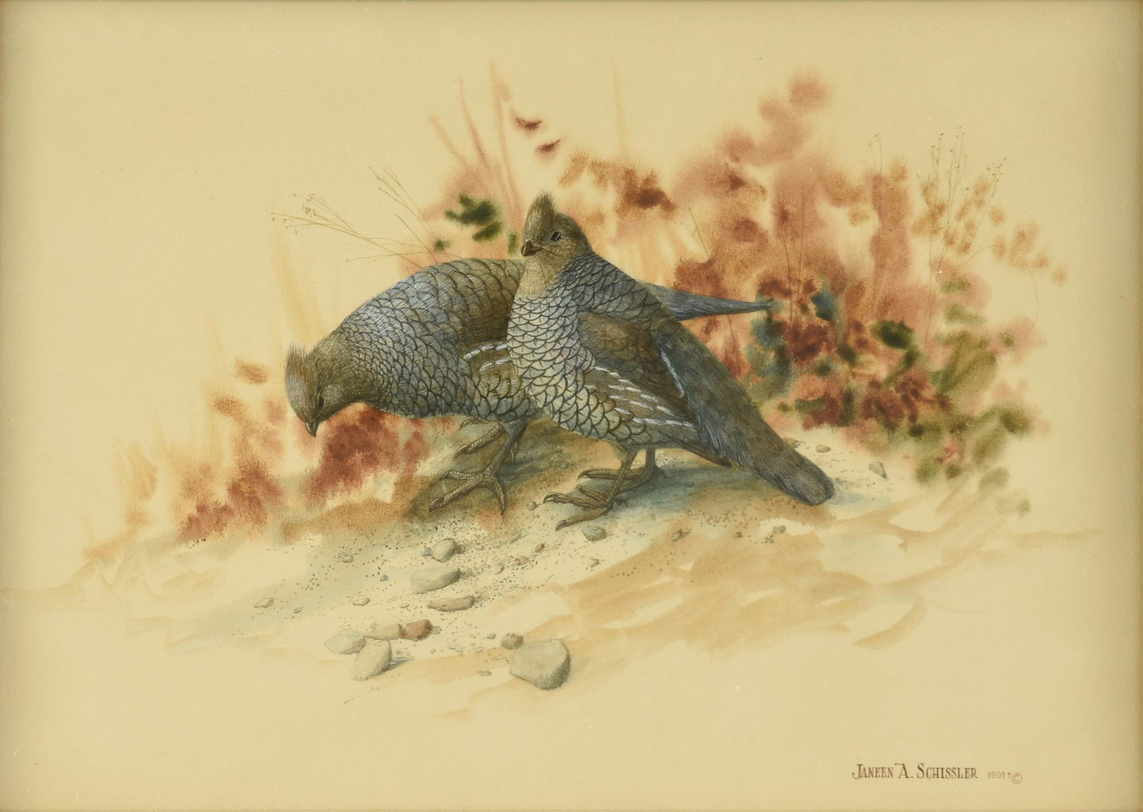 JANEEN SCHISSLER (American) A PAINTING, "Scaled Quail," 1991 (1 of 9)