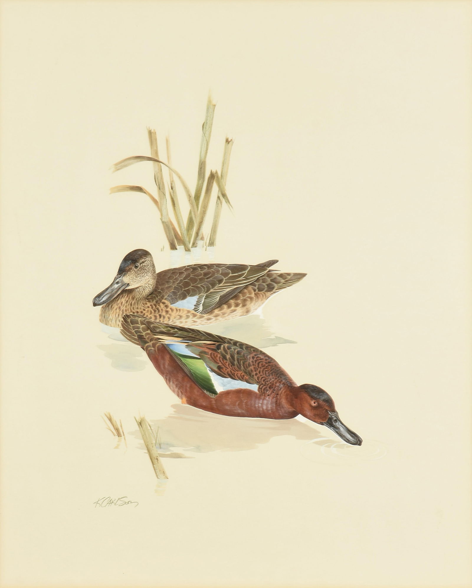 KEN CARLSON (American b. 1937) "Cinnamon Teal Drake and Hen," LATE 20TH CENTURY (1 of 9)