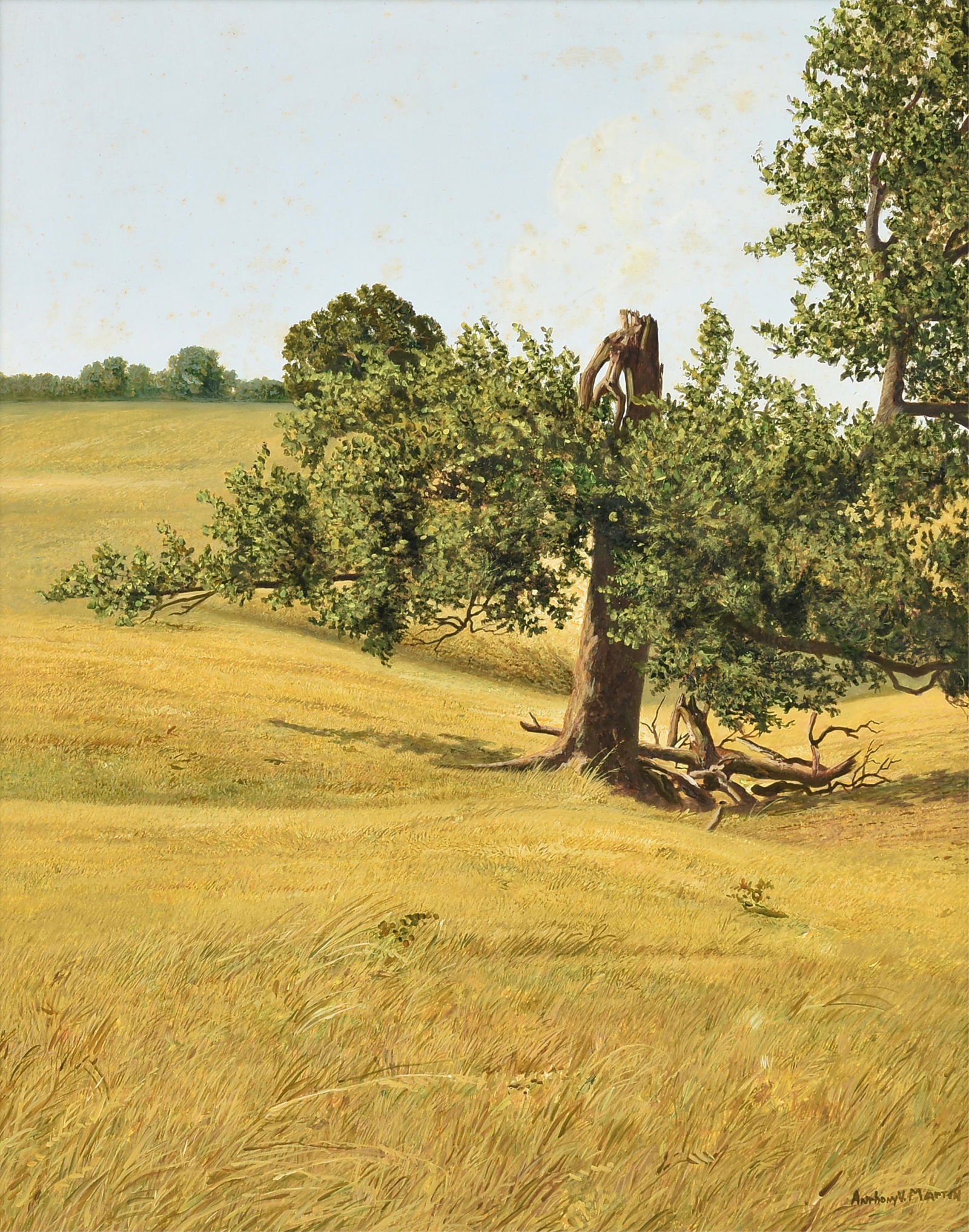 ANTHONY MARTIN (American/Texas 1941-2019) "Broken Tree," 20TH CENTURY, oil on board, signed L/R, (1 of 15)
