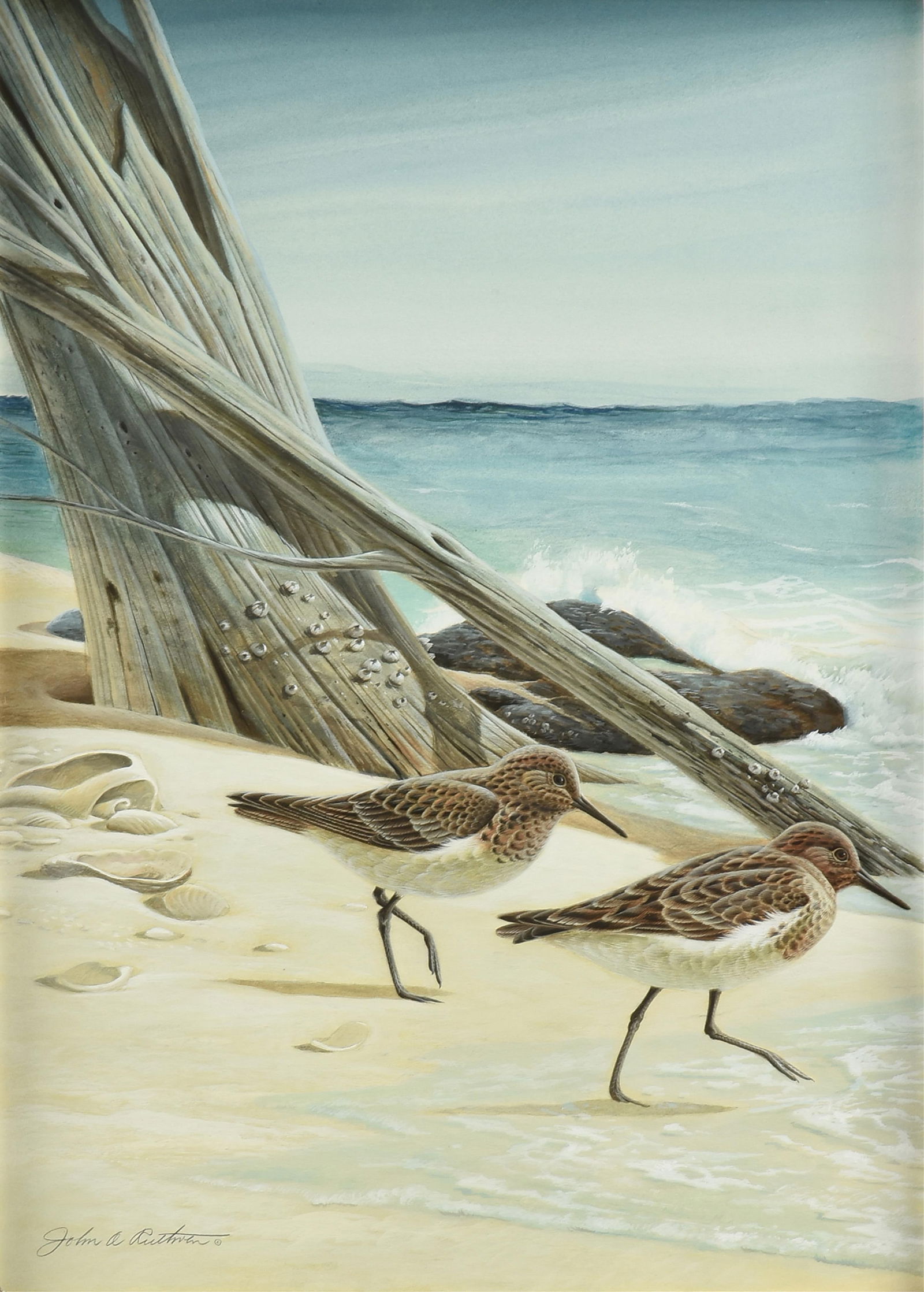 JOHN A. RUTHVEN (American 1924-2020) "Galveston Sandpipers," 1984, watercolor and gouache on paper, (1 of 11)