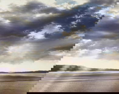 RICHARD MISRACH (American b. 1949) “Pyramid Lake, Nevada #5," 1988,: RICHARD MISRACH (American b. 1949) “Pyramid Lake, Nevada #5," 1988, color dye coupler print, signed and dated in the margin lower right, "© Richard Misrach 1988/1994 F," and numbered and ti