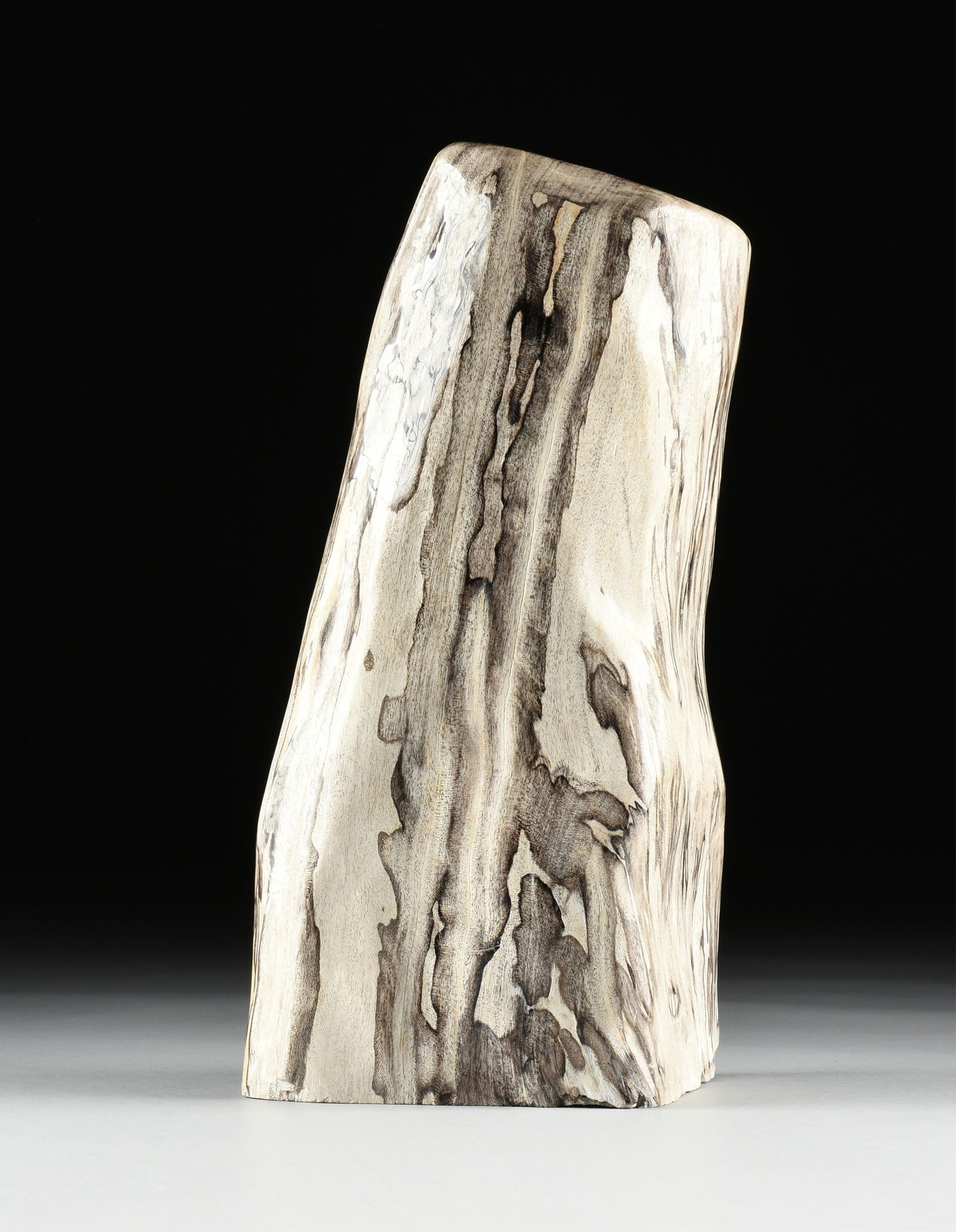 A PETRIFIED WOOD SPECIMEN, (1 of 9)
