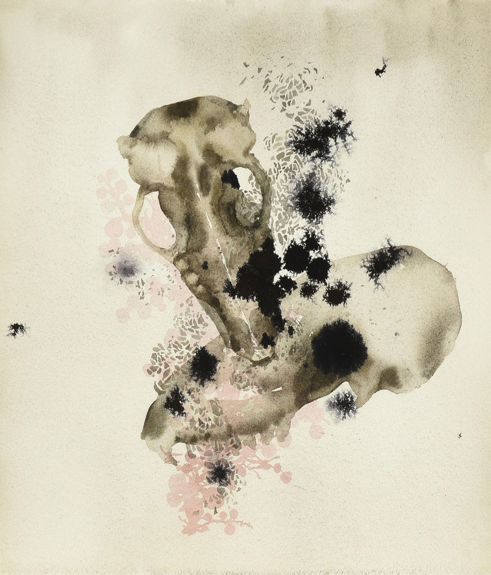 DARREN WATERSTON (American b. 1965) "Fox Skull Study," 2010, (1 of 10)