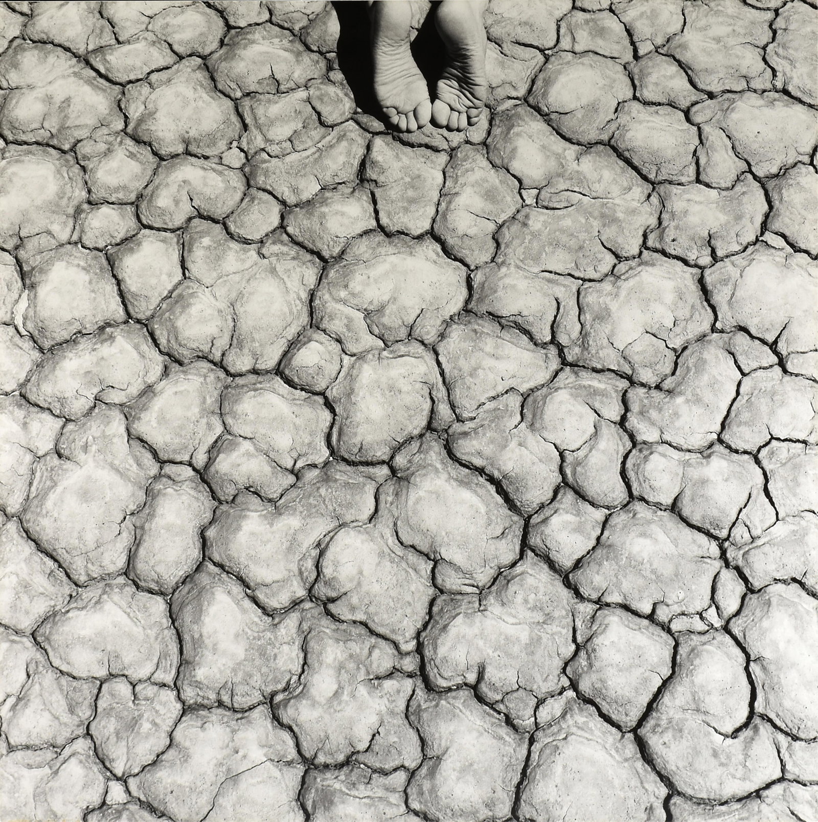 LAURENT ELIE BADESSI (French/American b. 1964) "Wrinkles on Wrinkles," 1999,: LAURENT ELIE BADESSI (French/American b. 1964) "Wrinkles on Wrinkles," 1999, photograph mounted on card, signed, dated, titled, and numbered on reverse, "LE Badessi / NYC 1999 / El Mirage, California 