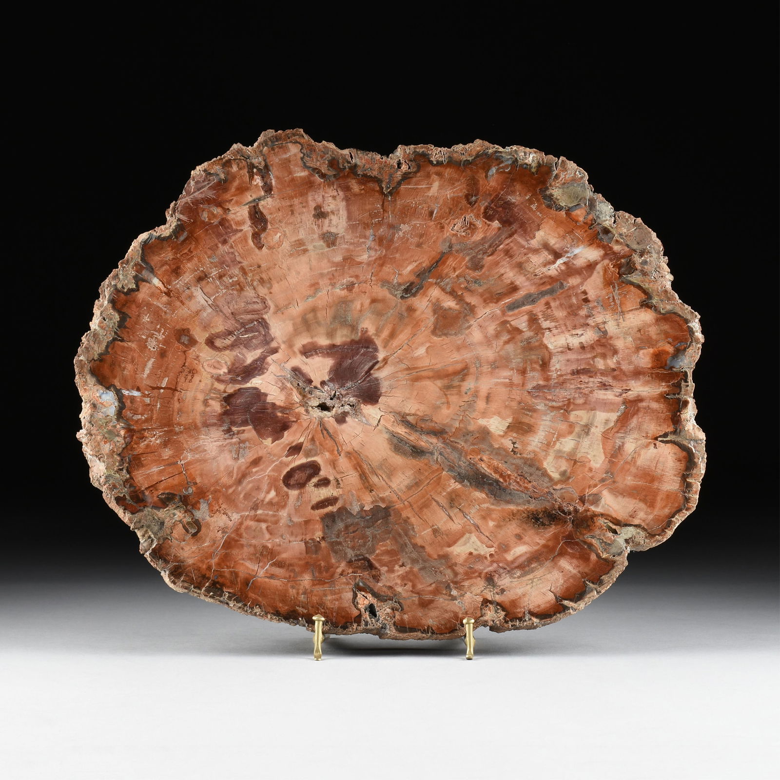 A PETRIFIED WOOD SPECIMEN, MADAGASCAR, (1 of 6)