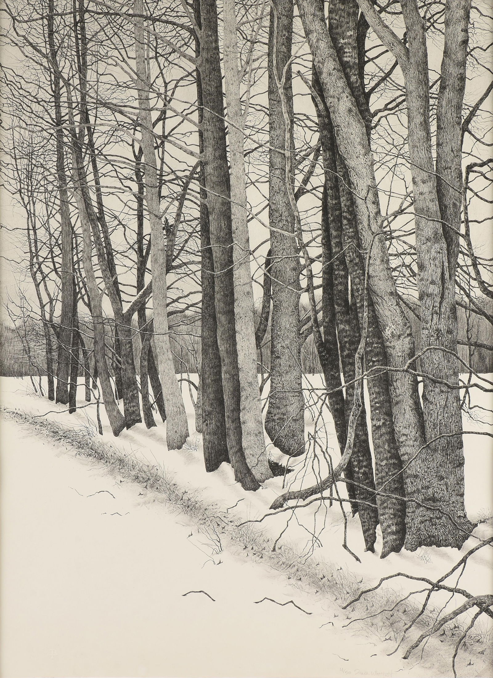 TRAVIS WHITFIELD (American/Texas b. 1945) "Seven Oaks," 1973,: TRAVIS WHITFIELD (American/Texas b. 1945) "Seven Oaks," 1973,lithograph on paper, printed by Tamarind (73-684), full sheet with deckle edge, numbered and signed in pencil at lower right, "14/50 Travis