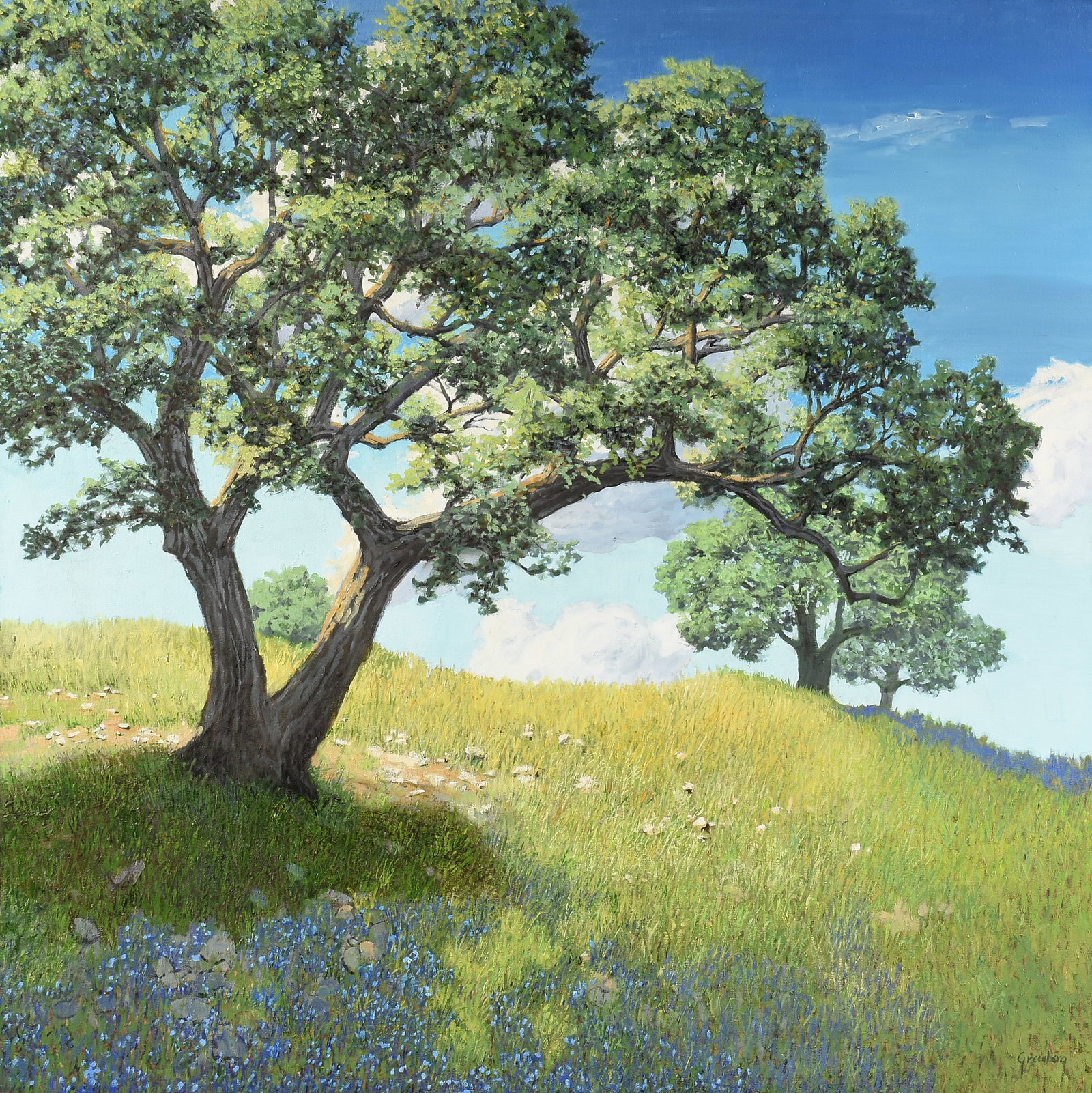 JERRY GREENBERG (American/Texas b. 1946) Hill Country Landscape (Untitled), 21ST CENTURY,: JERRY GREENBERG (American/Texas b. 1946) Hill Country Landscape (Untitled), 21ST CENTURY, oil on canvas, signed lower right, "Greenberg." 48 x 48 in. (121.9 x 121.9 cm.), Frame: 50 x 50 in. (127 x 127