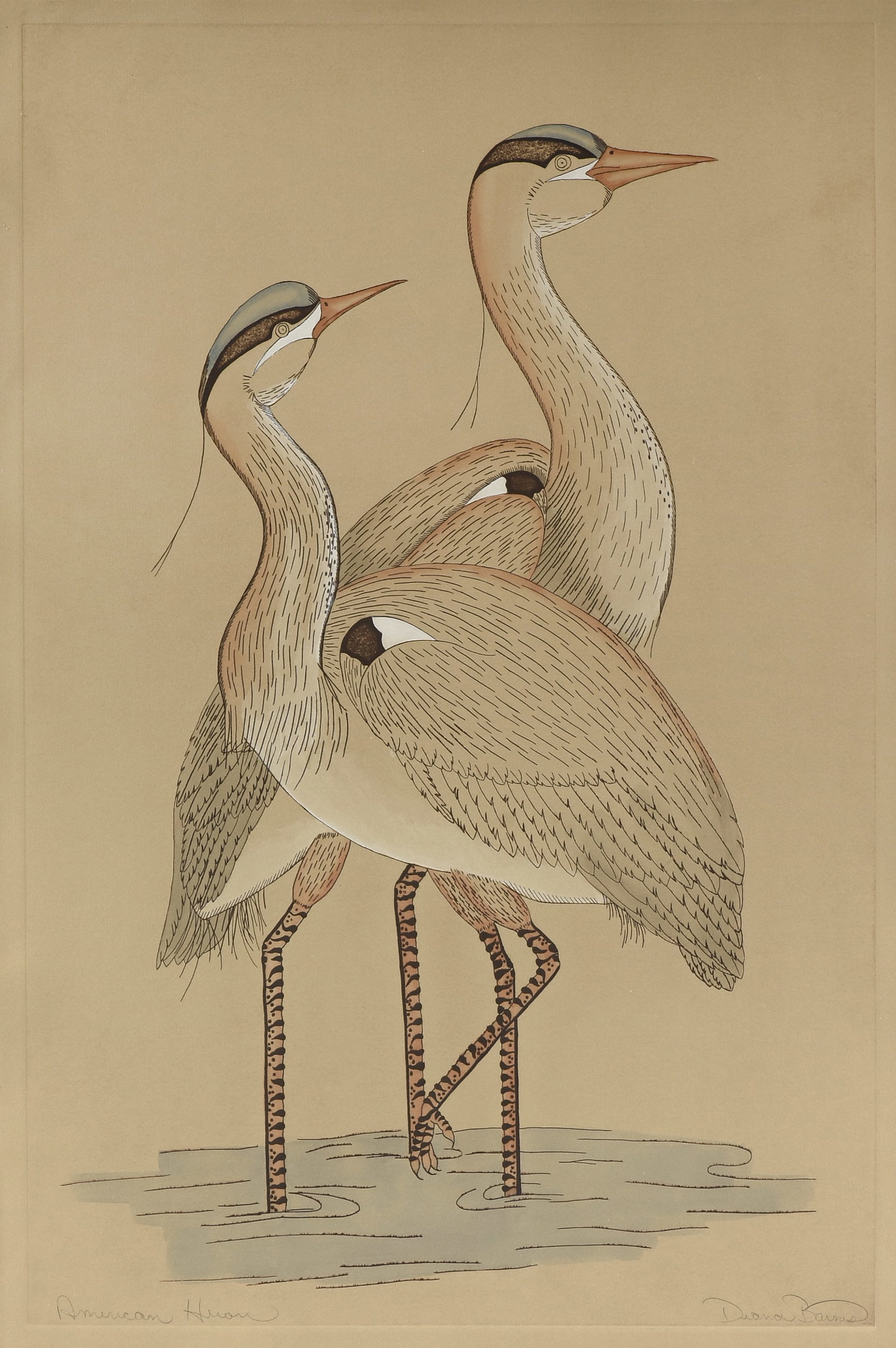 DIANA BARNES (American) American Heron, 20TH CENTURY,: DIANA BARNES (American) American Heron, 20TH CENTURY, color etching on paper, signed lower right, "Diana Barnes," and titled lower left, "American Heron." 37 x 25 in. (94 x 63.5 cm.), Frame: 65 x 45 1