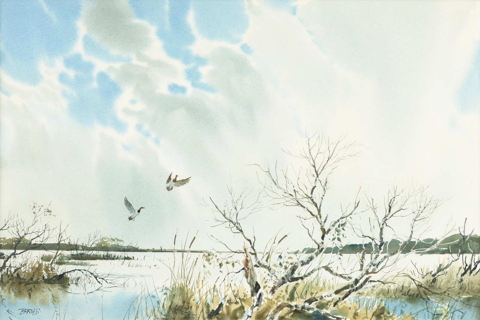 AL BARNES (American/Texas 1937-2015) Canvasbacks in the Wetlands, 1971,: AL BARNES (American/Texas 1937-2015) Canvasbacks in the Wetlands, 1971, watercolor on paper, signed lower left, "BARNES." Sight: 18 x 27 in. (45.7 x 68.6 cm.), Frame: 26 1/2 x 35 in. (67.3 x 88.9 cm.)
