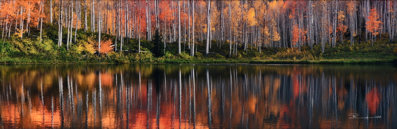 PETER LIK (Australian b. 1959) Autumn Echoes, 21ST CENTURY, (1 of 11)