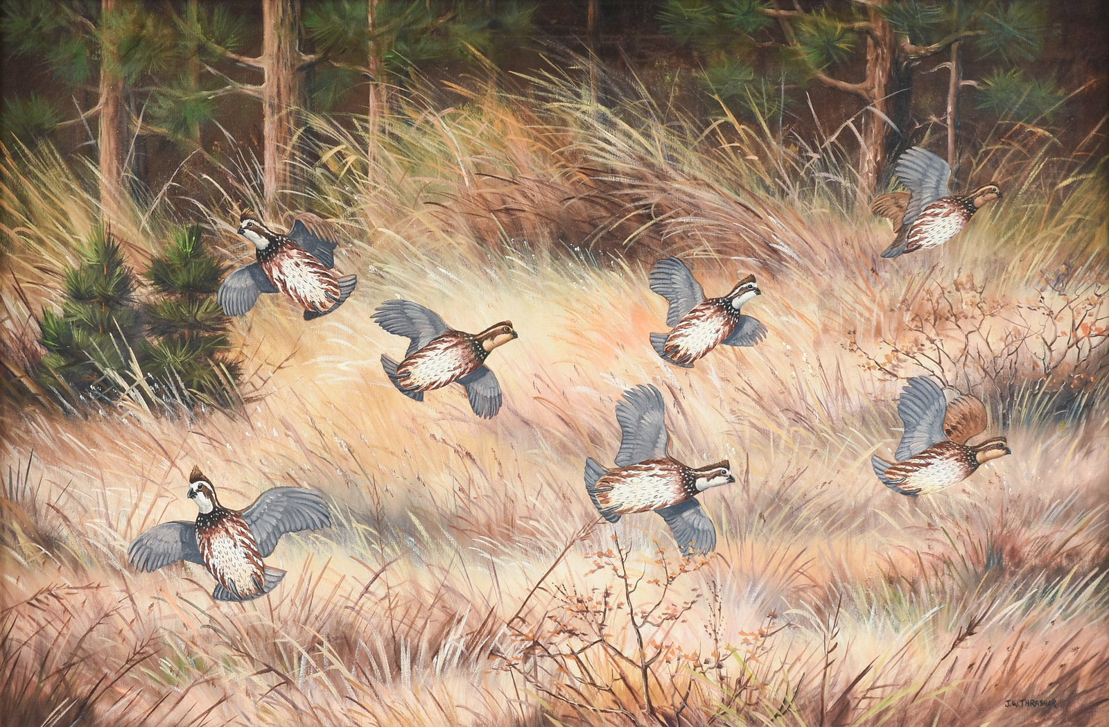 J.W. THRASHER (American/Texas b. 1940) Quail in Flight , 20TH CENTURY,: J.W. THRASHER (American/Texas b. 1940) Quail in Flight , 20TH CENTURY, oil on canvas, signed lower right, "J.W. Thrasher." 24 x 36 in. (61 x 91.4 cm.), Frame: 32 x 44 1/4 in. (81.3 x 112.4 cm.) Proven