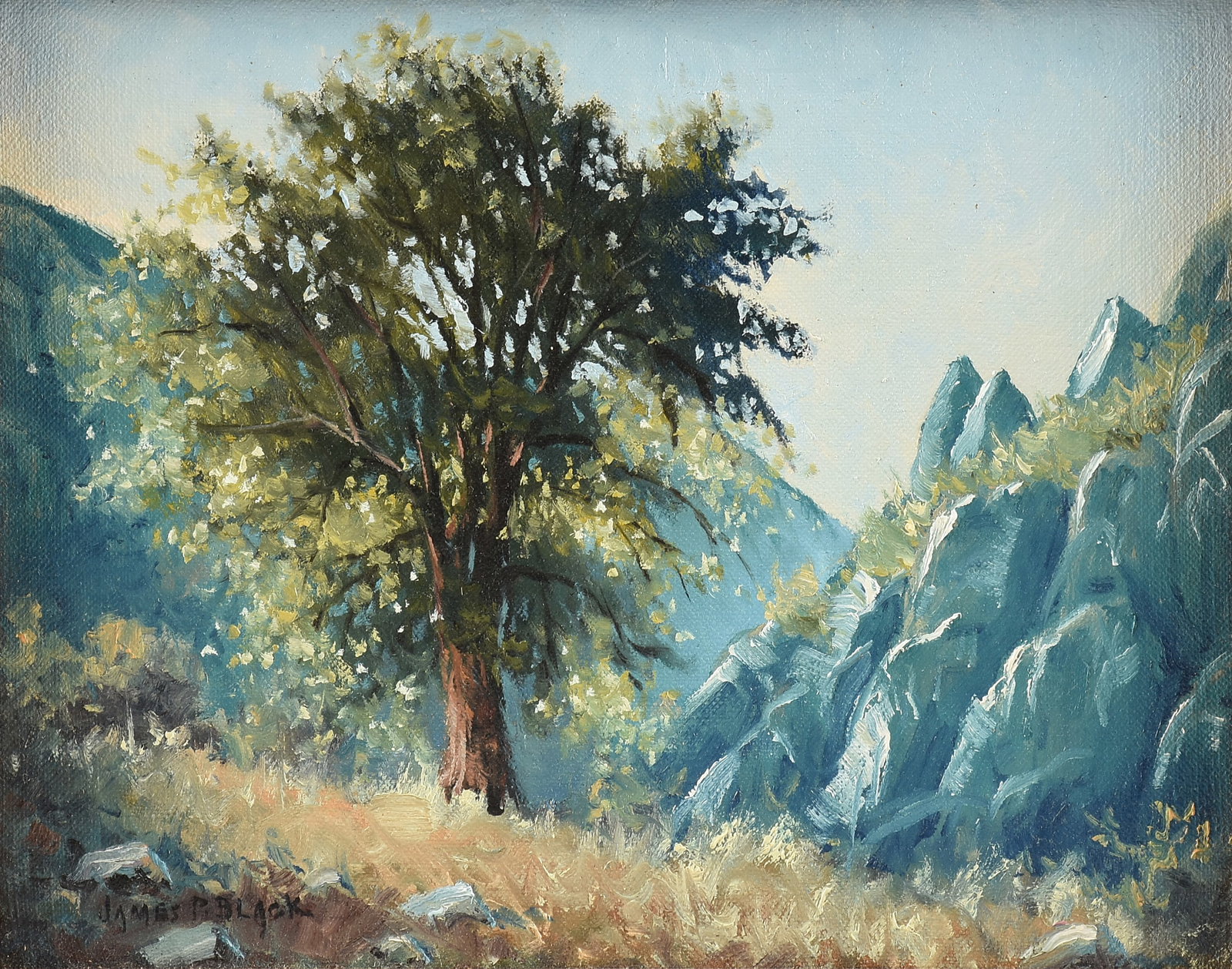 JAMES P. BLACK (American/Texas 1945-2017) On Limpia Creek Fort Davis, 2014,: JAMES P. BLACK (American/Texas 1945-2017) On Limpia Creek Fort Davis, 2014, oil on canvas, signed lower left, "James P. Black." 8 x 10 in. (20.3 x 25.4 cm.), Frame: 14 x 16 in. (35.6 x 40.6 cm.)