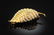 AN 18K YELLOW GOLD AND DIAMOND LADY'S BROOCH/PIN, the l - 2