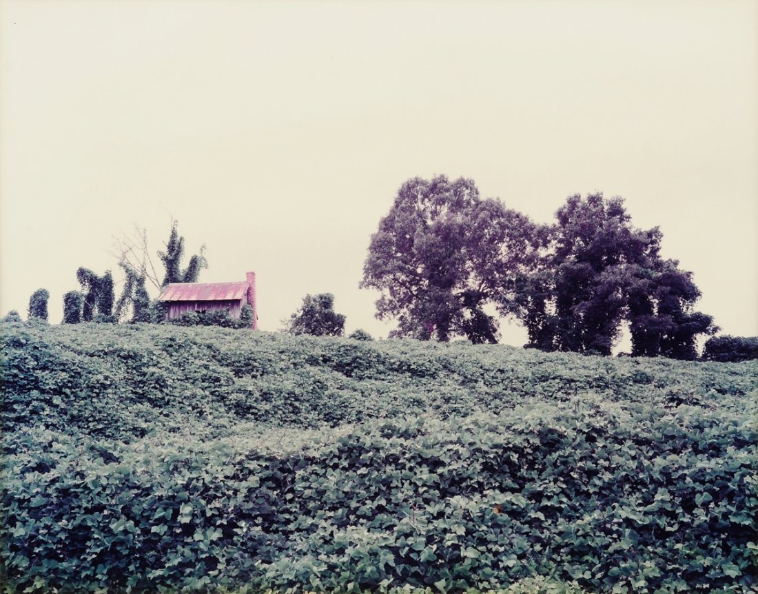 WILLIAM CHRISTENBERRY (American b. 1936) A PHOTOGRAPH,: WILLIAM CHRISTENBERRY (American b. 1936) A PHOTOGRAPH, "Kudzu and Farmhouse, Tuscaloosa County, Alabama, 1979," chromogenic print, title, date, and signature inscribed on back. 20" x 24" Framed.