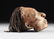 AN LATMUL NATURALISTICALLY OVERMODELED AND PAINTED - 5