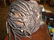 AN LATMUL NATURALISTICALLY OVERMODELED AND PAINTED - 7