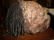 AN LATMUL NATURALISTICALLY OVERMODELED AND PAINTED - 8
