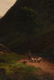 BRITISH SCHOOL (19th Century) A PAINTING, "Sheep - 5