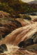DANIEL SHERRIN (British 1868-1940) A PAINTING, "Rushing - 7