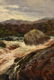 DANIEL SHERRIN (British 1868-1940) A PAINTING, "Rushing - 9