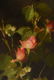 SHERRIE MCGRAW (American b.1954) A PAINTING, "In - 7